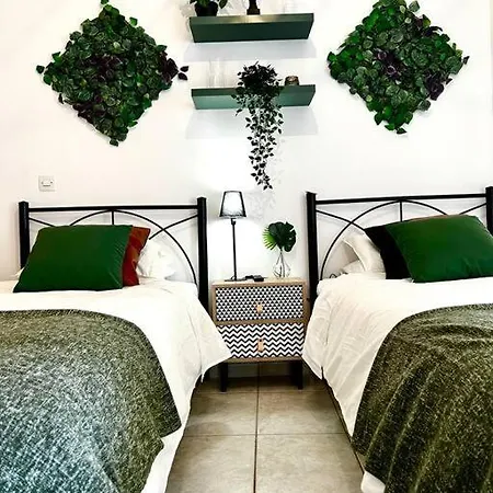 Modern With Garage Near The Square And * Éjo
